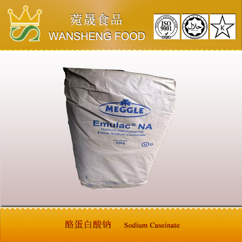 Sodium Caseinate Meggle